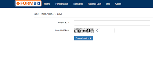 Badan pengawas obat dan makanan ri. Segera Login Eform Bri Co Id Bpum Untuk Cek Penerima Bpum Tahap 2 2021 Kabar Tegal