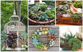 In fact, everyone loves the little plants right now, even the people who usually don't tend to like gardening or taking. 25 Indoor And Outdoor Succulent Gardens Of All Sizes Garden Lovers Club