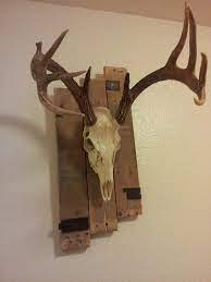 Pallet Wood European Antler Mount Deer Mount Decor Deer Antler Decor European Mount Ideas