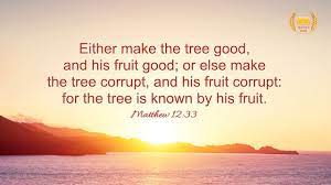 Jesus said, a tree is identified by its fruit. Reflection On Matthew 12 33 A Tree Is Known By Its Fruit