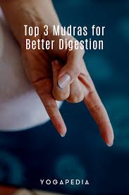 Top 3 Mudras For Better Digestion In 2020 Mudras Digestion Problems Digestion