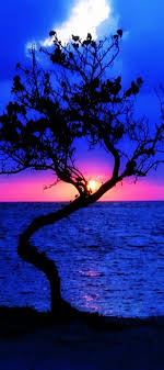 Beautiful Sunset In A Stunning Blue Backdrop Nature Beautiful Nature Beautiful Landscapes