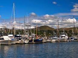 Maybe you would like to learn more about one of these? 5 Fun Things To Do In Bodega Bay Bodega Bay Bodega Bay California Sonoma County