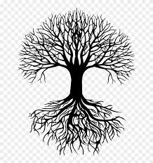 There are 229 tree root silhouette for sale on etsy, and they cost $2.56 on average. Roots Drawing Oak Tree Tree Roots Silhouette Png Clipart 483198 Pikpng