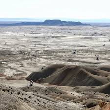 Pin En Pae En Golfo San Jorge