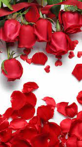 Screen flower wallpapers high definition. Flower Wallpaper Floral Rose Background Rosely Amazon De Apps Fur Android