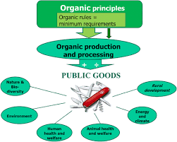 Pest and termite programs pest control. Contribution Of Organic Farming To Public Goods In Denmark Springerlink