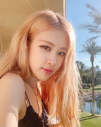 Blackpink Rose Fan Account On Instagram Blackpink S Tour Have Just Finished And They Re Now In Rose Pink Hair Blackpink Rose Light Strawberry Blonde