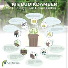 Polisi di sulsel ternak lele dan hidroponik. Jual Paket Hidroponik Set Budidaya Ikan Dalam Ember Budikdamber Ikan Lele Stock Ready Di Lapak Taniku Tanimu Bukalapak