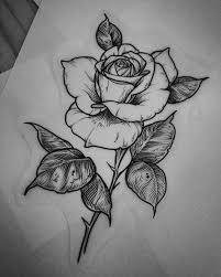 Pin Von Irina Usselmann Auf Girlswithink Rose Tattoo Ideen Tatowiertinte Tatowierung Skizzen