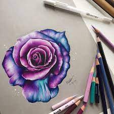 1 306 Likes 127 Comments Drawingss Keelee Drawss On Instagram Hello Everyone Here S This Pink Purpl Rose Drawing Roses Drawing Color Pencil Art