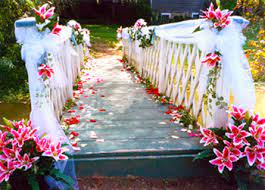 Abd » maryland » carroll county » westminster ». Flowers By Evelyn Florist Westminster Md Carroll County Maryland Florist Delivery Maryland Wedding Flower Florist Www Flowersbyevelyn Com Delivery Available Gifts Weddings Funerals Office Wedding Consultations Good Best Local Top Rated