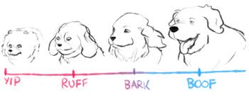 Dog Chart Dogs Know Your Meme