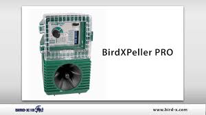 Bird X Birdxpeller Pro Series Youtube