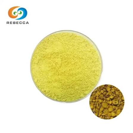 ʻO Kina Baicalein Powder Free Sample No ke kūʻai aku i nā mea hana, nā mea kūʻai aku, nā hale hana - nui i ka waiwai - Rebecca