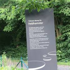 Das stadtbranchenbuch für uslar zeigt ihnen aktuell ᐅ 39 einträge. Der Gottinger Feldhamster Biologische Schutzgemeinschaft Vereinigung Fur Natur Und Umweltschutz Zu Gottingen E V