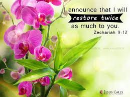 I Announce That I Will Restore Twice As Much To You Zechariah 9 12 Orchid Wallpaper Flower Phone Wallpaper Orchid Flower