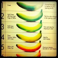 Official Del Monte Banana Color Chart Featuring Futura