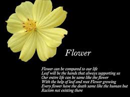 Reflections Flower Acrostics Poem Most Beautiful Flowers Beautiful Flowers Beautiful Flowers Images