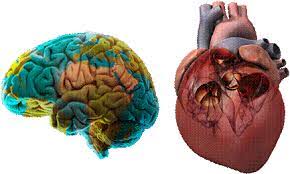 比较 раньше смерти не умрёшь. é†«å­¸ä¸Šçš„æ­»äº¡æ˜¯ è…¦æ­»äº¡ é‚„æ˜¯ å¿ƒæ­»äº¡ ä½ ç«™å°é‚Šäº†å—Ž æ¯æ—¥é ­æ¢