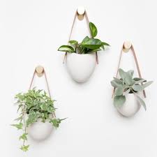 Check out our indoor wall planter selection for the very best in unique or custom, handmade pieces from our home & living shops. Create Your Indoor Planter Wall Sienna Planter With Leather Strap Set Of 3 Winnoby