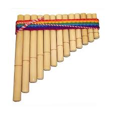 Image result for siku instrument