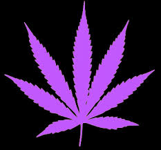 Image result for marijuana leaf