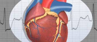 Il dottor guido canali, responsabile del servizio di cardiologia interventistica, mostra l'importanza di un rapido intervento medico in caso di infarto. Scoperto Al Gemelli Il Meccanismo Del Falso Infarto Da Crepacuore Iltamtam It Il Giornale Online Dell Umbria