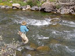 A daily permit for gatlinburg only is $10.50, and a combined permit for both gatlinburg and the park is $20.50. Gatlinburg Cabin Rentals Fishing In Gatlinburg Tennessee