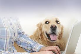 At federal service dog registration we provide free service dog and emotional support animal registration. Free Service Dog Registration Free Emotional Support Dog Registration
