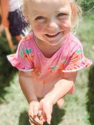 Taylor Beth Shipley (@tb_shipley) • Instagram photos and videos