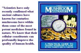 Is octopus halal sunni / spotlight halal food info for muslims haram animals : Is Oyster Halal Islamqa