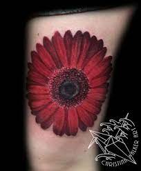 Tattoos Christina Walker Red Gerbera Daisy Daisy Tattoo Gerbera Daisy Tattoo Bamboo Tattoo