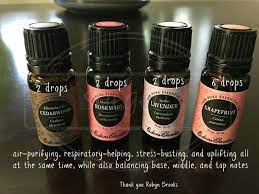 Edens Garden Essential Oils Diffuser Blend Edens Garden Essential Oils Oil Diffuser Blends Essential Oils Work
