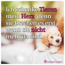 Sprüche Für Tierliebhaber Zitate Und Sprüche Für Katzen Und Hunde