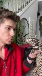 Image result for Urochloa clavipila