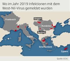 West Nil Virus Blutspenden Wird Fur Reisende Aus Sudeuropa Eingeschrankt News Srf
