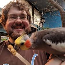 Any tips for creating a good bot from scratch?