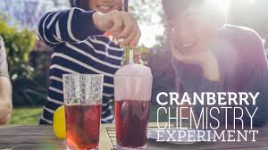 Check out this preschool learning pack! Cranberry Chemistry Thanksgiving Science Experiment Youtube