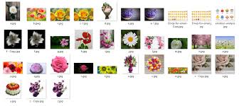 Flowers name in english and telugu. Removing Duplicate Images Through Python By Urvi Soni Medium