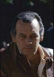 Amazon.com: David Janssen Vintage 1960's Portrait Original Rare 35mm  Transparency Slide: Photographs