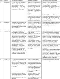 The institute of medicine (iom) in its report on dietary intake for energy recommends ranges for proteins, fats and carbohydrates. Role Of Macro And Micro Nutrients In Plant Nutrition And Disease Management Download Table