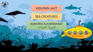 Check spelling or type a new query. Mari Belajar Jenis Haiwan Laut Dalam 3 Bahasa Melayu English Arab Youtube