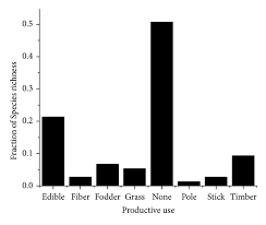 Image result for Rubus kirungensis