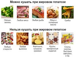 диета при жировом гепатозе печени примерное меню на неделю Dieta Pri Zhirovom Gepatoze Pecheni Primernoe Menyu Na Nedelyu