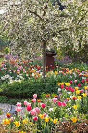 Homing Scrap Egy Kert Ahol Tombol A Tavasz Spring Flowers Spring Garden Spring Tulips