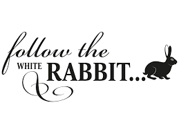 Wandtattoo Follow The White Rabbit Klebeheld De