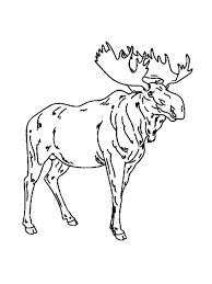 Click the moose coloring pages to view printable version or color it online (compatible with ipad and android tablets). Moose Coloring Pages To Print Animal Coloring Books Animal Coloring Pages Coloring Pages To Print