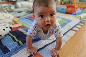 We did not find results for: When Do Babies Crawl And How Does Crawling Develop Illustrated