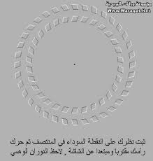 صور تلحس المخ